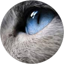 Ylenia Mugheddu profile picture